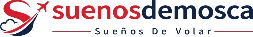 Suenosdemosca Logo